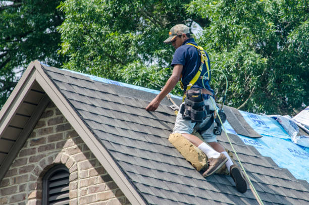 Best Shingle Roofing Installation  in Huron, SD